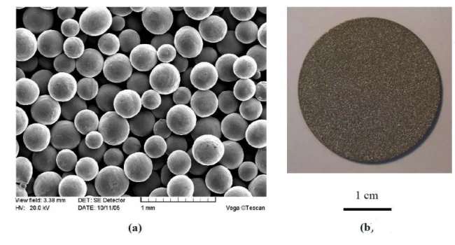 20240719100101 20240719100101